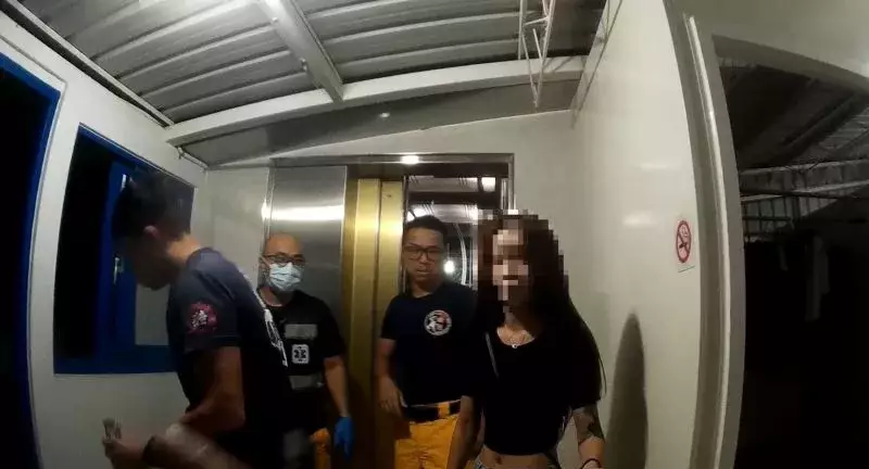 嘉警出擊逮車手-搜出兩盒雞精，車手吐露用途讓警方無言以對